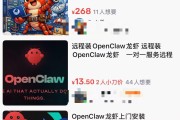 OpenClaw火了，最先赚钱的是上门安装，500元一次